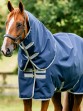Ooteman Paardensport