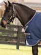 Ooteman Paardensport