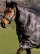 Ooteman Paardensport