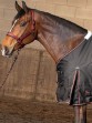 Ooteman Paardensport