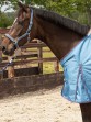 Ooteman Paardensport