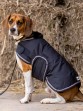 Ooteman Paardensport