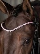 Harry's Horse Browband Love Crystal Pink
