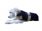 Vantaggio Dog Rug Outdoor Navy