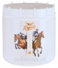 Ooteman Paardensport