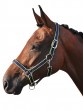 Smile Headcollar Set Navy/Lime