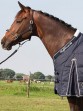 Harry's Horse Stable Rug Highliner 500 Navy