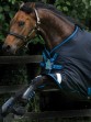 Ooteman Paardensport