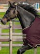 Ooteman Paardensport