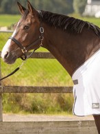 Harry's Horse Fly Rug/Cooler Mesh-Pro Grey
