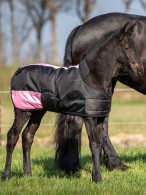 Harry's Horse Veulendeken TwoTone Black/Pink