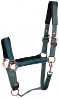 Harry's Horse Headcollar Set Equestrian Society Mallard Green