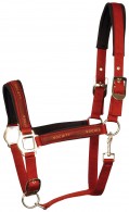 Harry's Horse Headcollar Set Equestrian Society Chili Oil