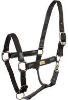 BR Headcollar Brooke Meteorite