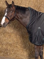Harry's Horse Winterdeken Thor 200 Highneck Black 