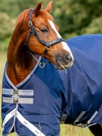 Rhino Regendeken Original Lite Navy