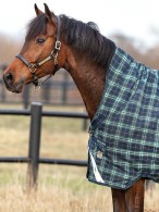 Rhino Winterdeken Wug Medium Hunter Check