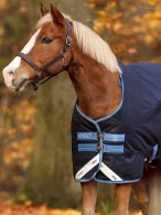 Amigo Outdoor Rug Bravo 12 Original Medium Pony Navy/Turquoise 