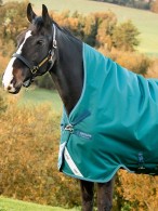 Amigo Regendeken Bravo 12 Wug Lite Storm Green