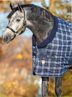 Rhino Stable Rug Original Medium Navy Check