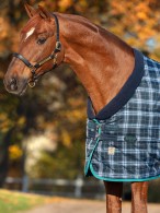 Rhino Stable Rug Original Heavy Navy Check