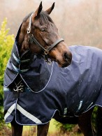 Rambo Winterdeken Duo Force Navy