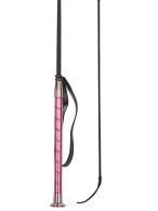Harry's Horse Riding Whip Cantel Cactus Flower