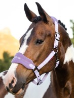 LeMieux Headcollar Set Vogue Wisteria