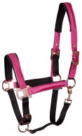 Harry's Horse Headcollar Set El Pinto Cactus Flower