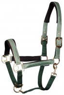Harry's Horse Headcollar Set El Pinto Frosty Spruce