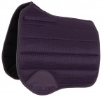 BR Zadeldek Cara Nightshade
