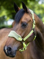 LeMieux Headcollar Set Vogue Kiwi