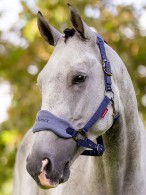 LeMieux Headcollar Set Vogue Indigo