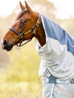 Amigo Rain/Fly Rug 3-In-1 Combi Plus Teal