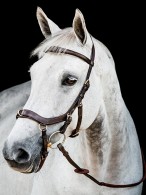 Rambo Micklem 2 MultiBridle Dark Havana