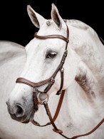Rambo Micklem 2 Competition Bridle Dark Havana
