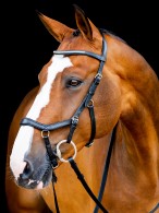 Rambo Micklem 2 Competition Bridle Diamante Black