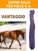 Super Sale! Vantaggio Bijzettouw Purple/Lime