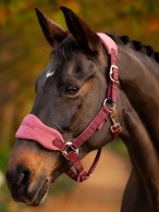 LeMieux Halsterset Vogue Orchid