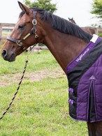 Harry's Horse Stable Rug Highliner 200 Navy Cosmos