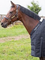 Harry's Horse Stable Rug Highliner 300 Navy