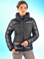 Pikeur Jack 223-4016 Caviar