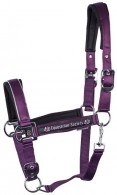 Harry's Horse Headcollar Set Dividal Navy Cosmos