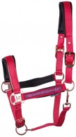 Harry's Horse Headcollar Set Dividal Cerise