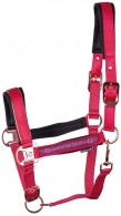 Harry's Horse Halsterset Dividal Cerise