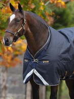 Amigo Winterdeken Bravo 12 XL Original Medium Navy