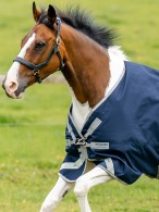 Amigo Regendeken Bravo 12 XL Original Lite II Navy 