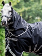 Amigo Regendeken Bravo 12 Plus Lite Pony Black