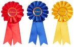 LeMieux Mini Rozetten Pack Speelpony Multi 
