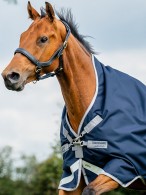 Amigo Winterdeken Bravo 12 Wug Medium Navy